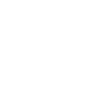Cisco partner white