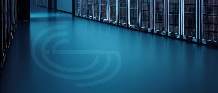 Managed Security Service Provider (MSSP)