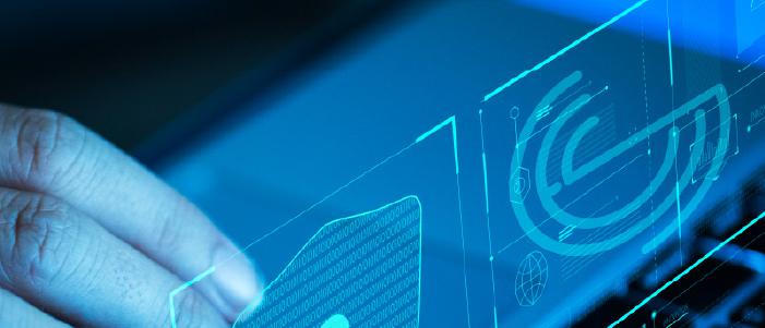 Managed Service Provider (MSP)